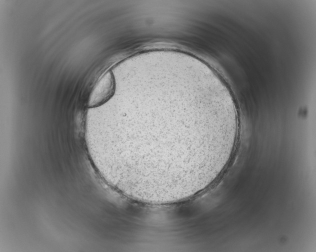 X0000112840953200910021105