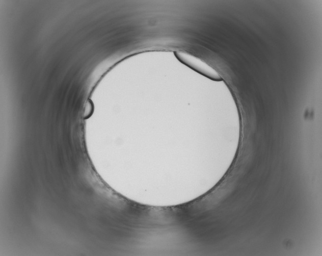 X0000112840960200910021105