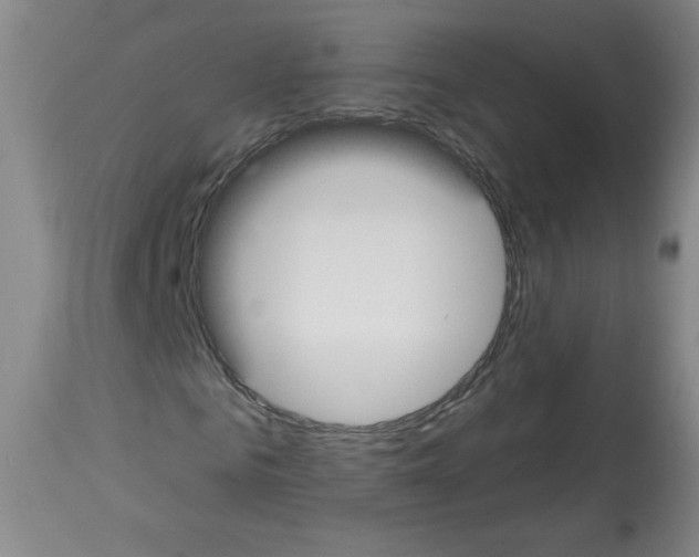 X0000112840961200910021104