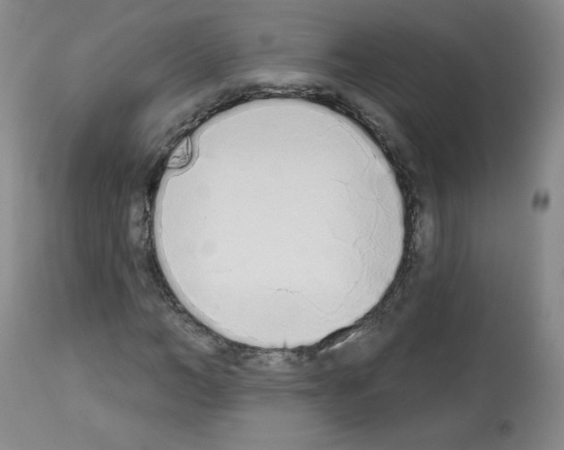 X0000112840966200910021104