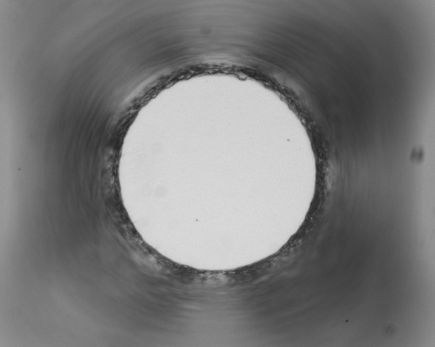 X0000112840968200910021104