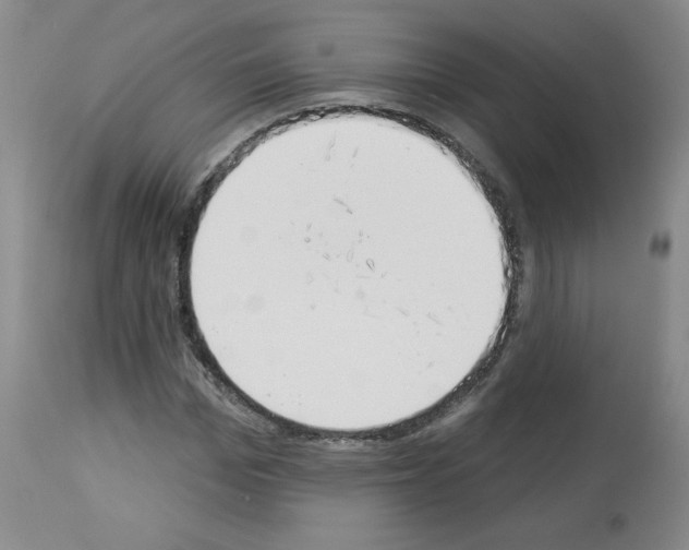 X0000112840969200910021104