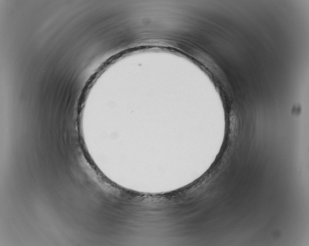 X0000112840972200910021104