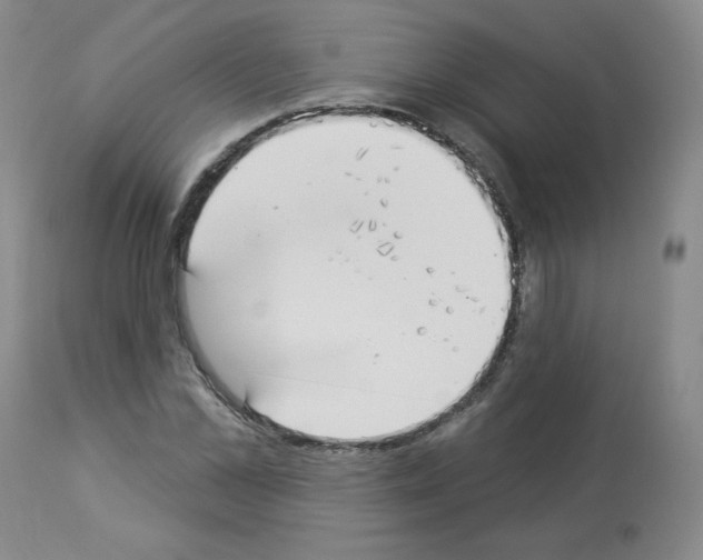 X0000112840973200910021104