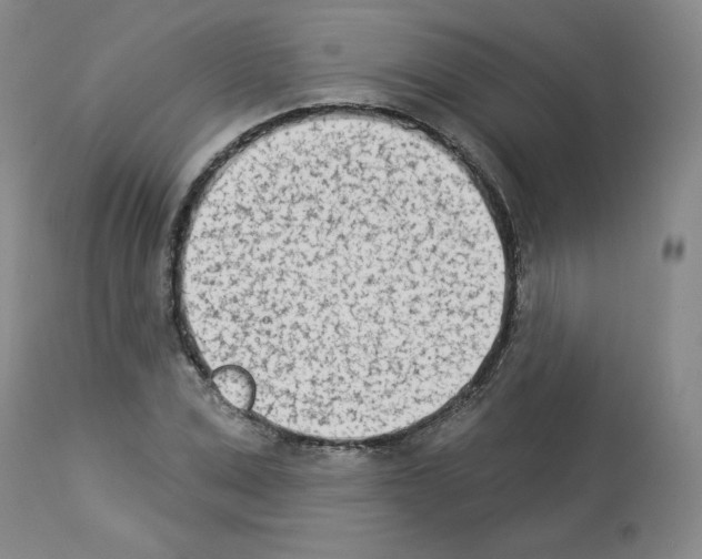 X0000112840975200910021104