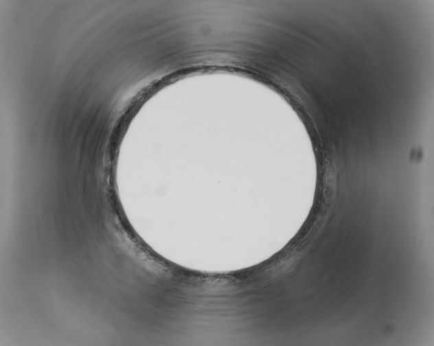 X0000112840979200910021104