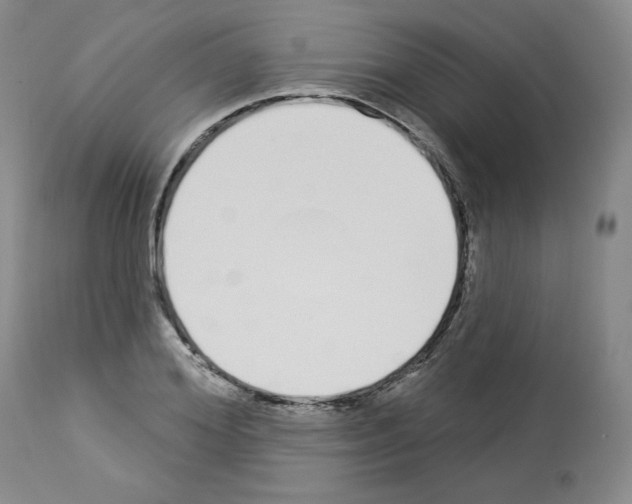 X0000112840980200910021104