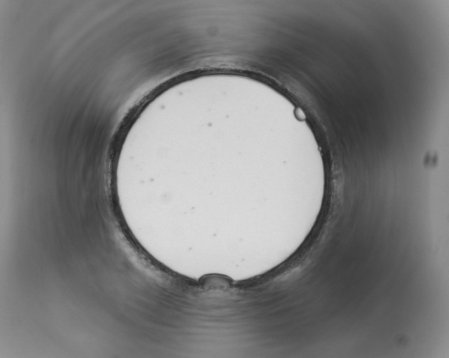 X0000112840981200910021104