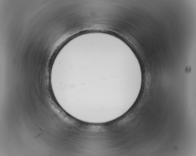 X0000112840982200910021104