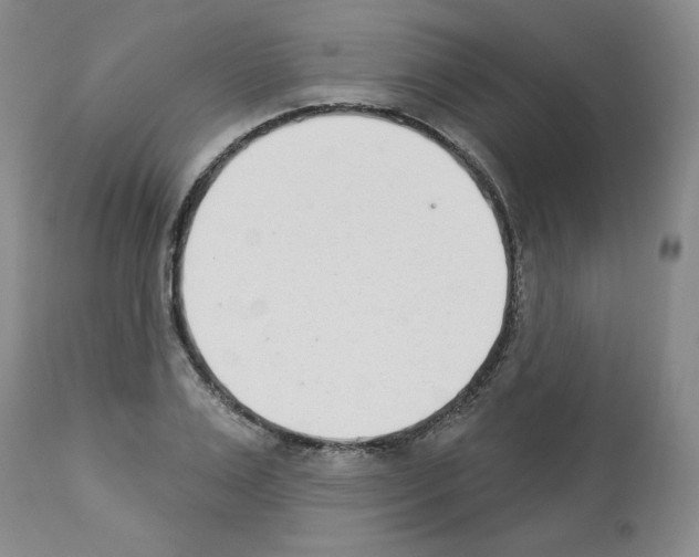 X0000112840983200910021104