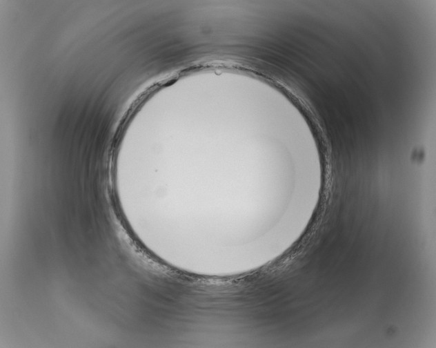 X0000112840984200910021104