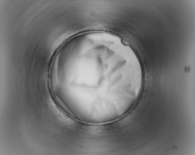 X0000112840989200910021104