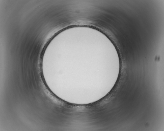 X0000112840990200910021104