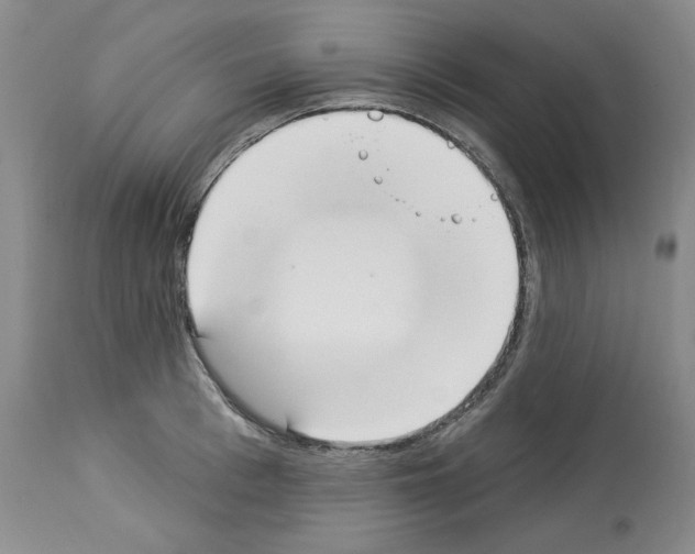 X0000112840993200910021103