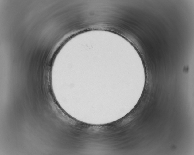 X0000112841000200910021103