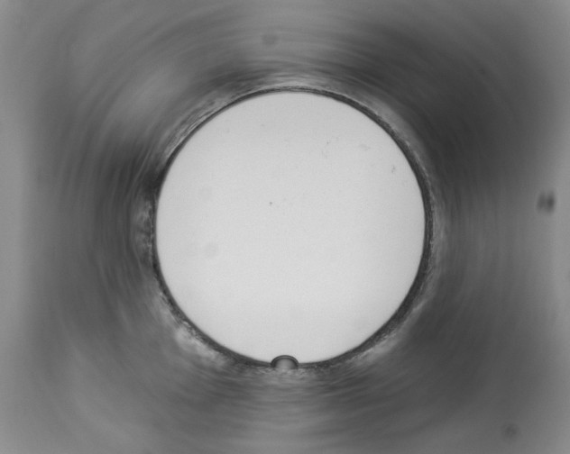 X0000112841001200910021103