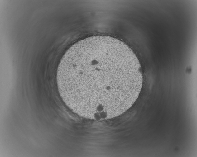 X0000112841009200910021102