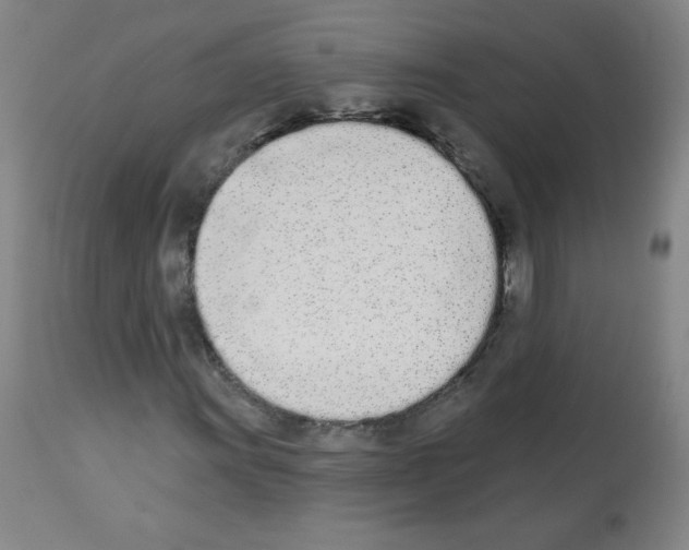 X0000112841011200910021102