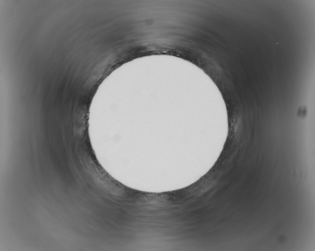 X0000112841012200910021103