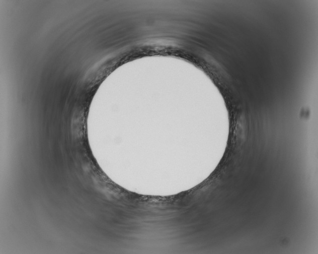 X0000112841014200910021103