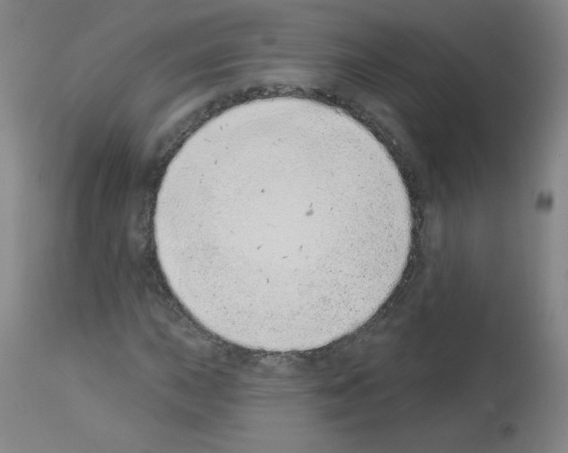 X0000112841015200910021103