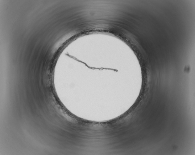 X0000112841018200910021103