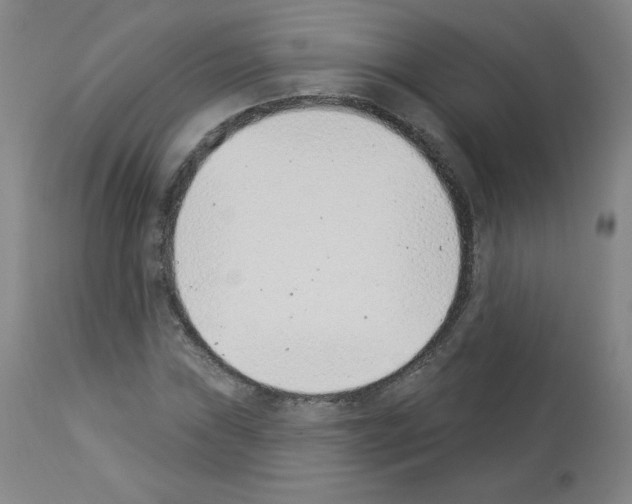 X0000112841019200910021103