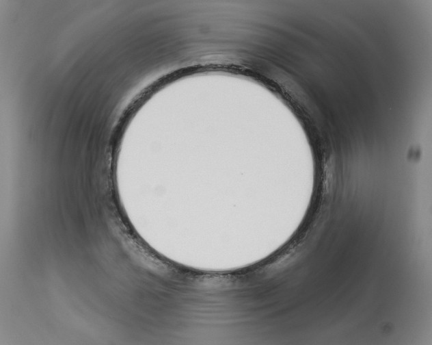 X0000112841021200910021103