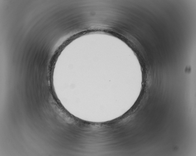 X0000112841022200910021103