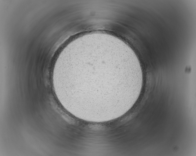 X0000112841023200910021103