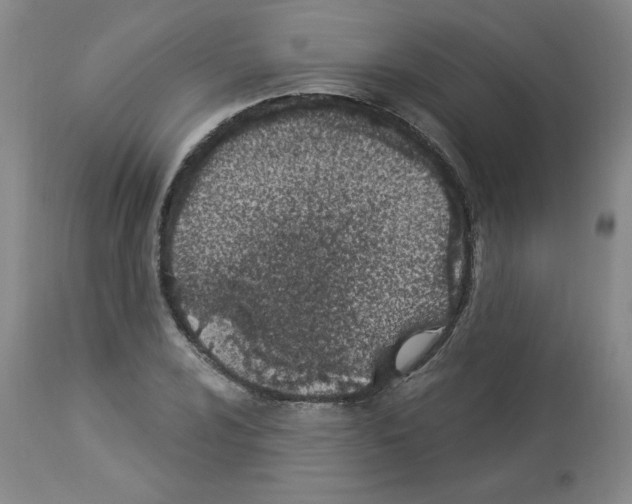 X0000112841024200910021103