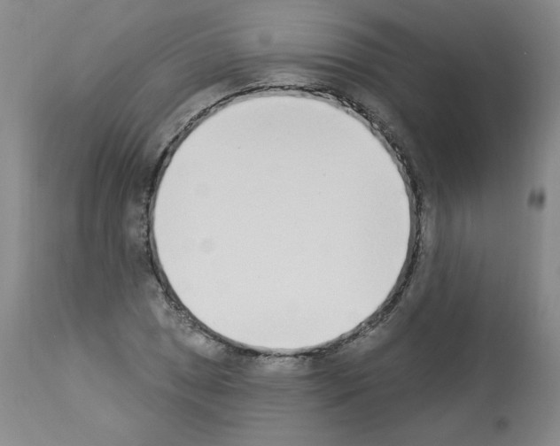 X0000112841025200910021103