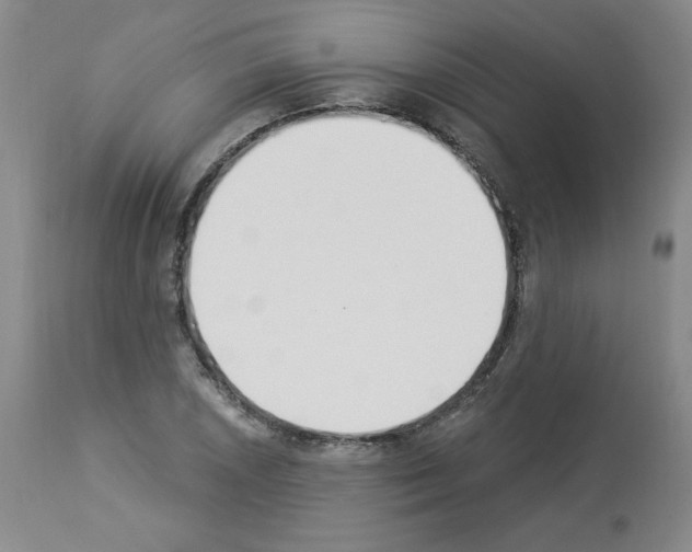 X0000112841026200910021103