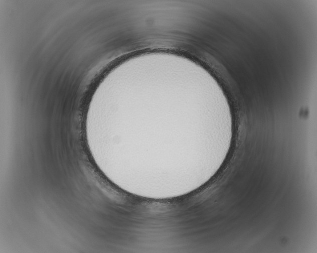 X0000112841027200910021103