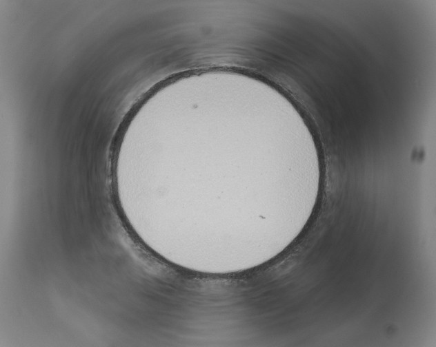 X0000112841031200910021103