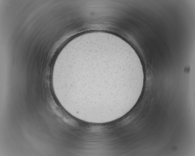 X0000112841035200910021103