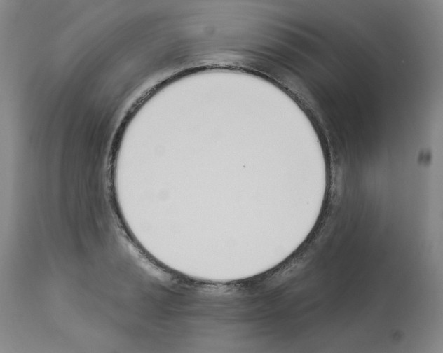 X0000112841037200910021103