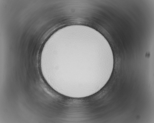 X0000112841039200910021103