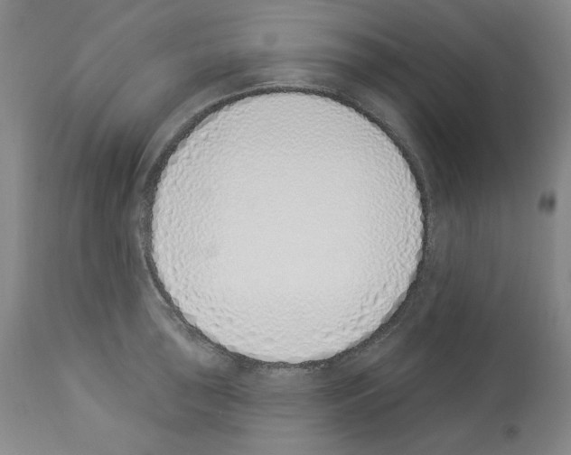 X0000112841043200910021103