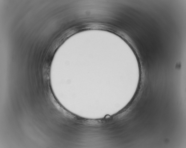 X0000112841049200910021103