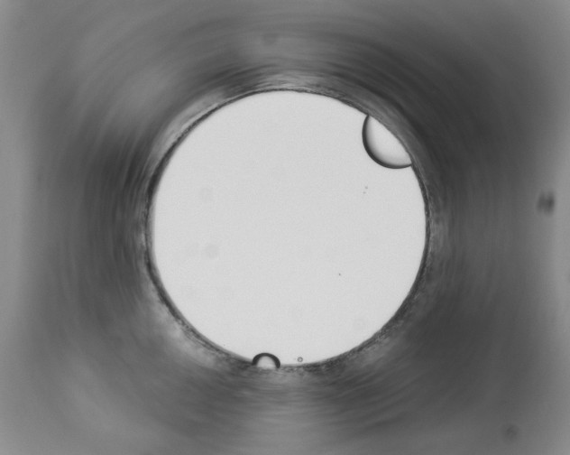 X0000112841050200910021103