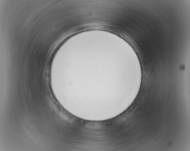 X0000112841051200910021103