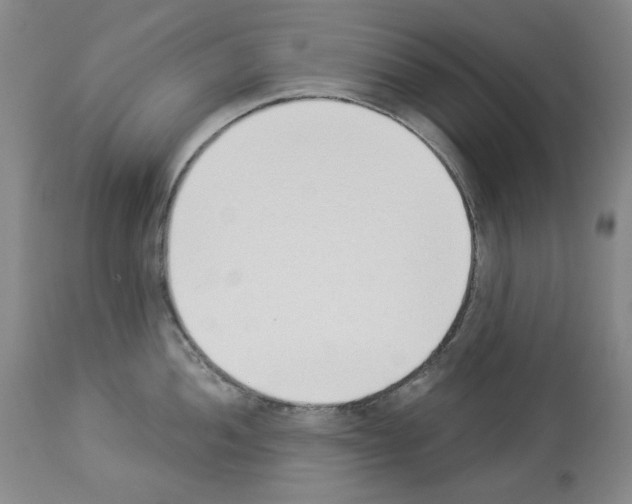 X0000112841052200910021103