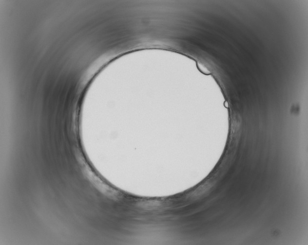 X0000112841054200910021103