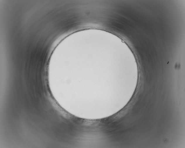 X0000112841056200910021103