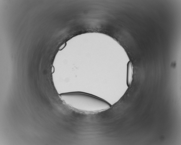 X0000112841057200910021102