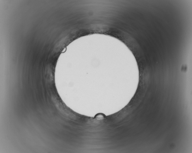 X0000112841058200910021102