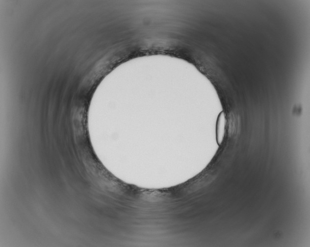 X0000112841059200910021102