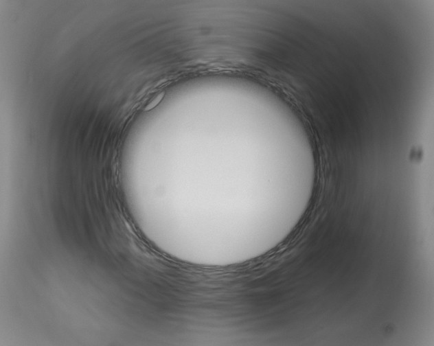 X0000112841060200910021102