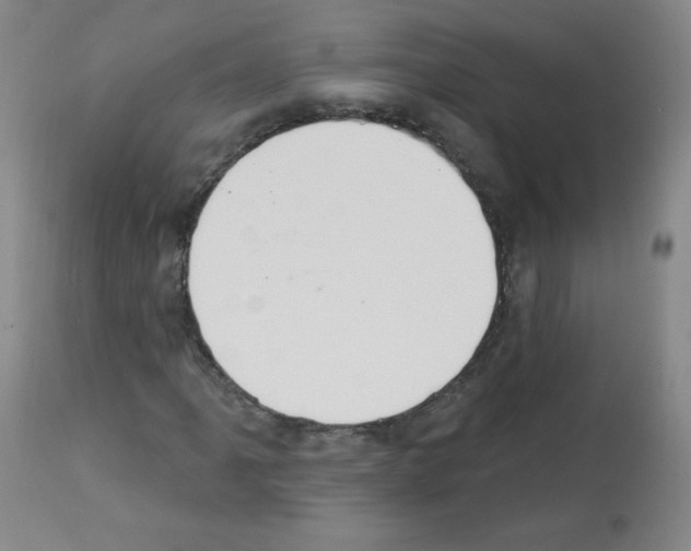 X0000112841061200910021102